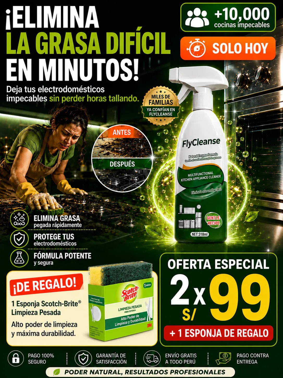 FlyCleanse